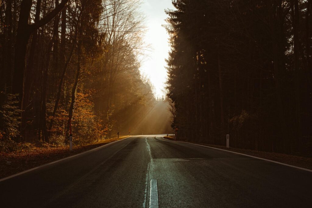 imagem de uma estrada em uma rodovia, com uma curva bem no centro.